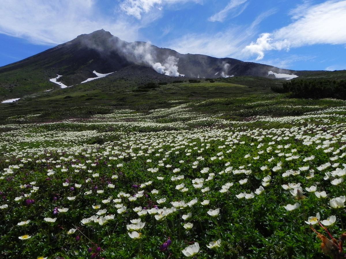 Asahidake Onsen Hotel Deer Valley Higashikawa Εξωτερικό φωτογραφία